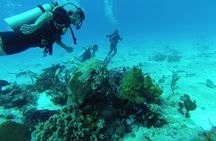 Chankanaab Scuba Diving
