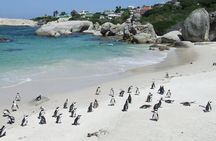 Cape Town Private, Robben Island and Cape point Tour
