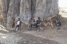 2 Days Cultural Tours To Hadzabe And Datoga Tribes