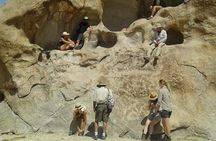 2 Days Cultural Tours To Hadzabe And Datoga Tribes