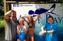 Open Water Scuba Course