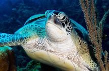 Private Discover Scuba Diving 