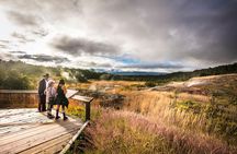 Elite Volcano Hike From Hilo