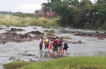Guided Tour Of The Falls - Zambia