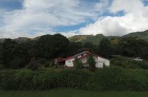 Antón Valley Tour from Panama City Nature,Waters