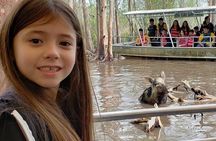 Private Tour of the Honey Island Swamp