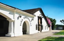 Pre or Post Valparaiso Cruise with Santiago City Tour and optional Vineyard
