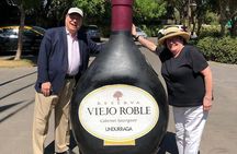 Half-Day Small Group Undurraga Vineyard Tour - Winetasting Included