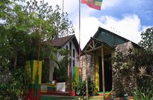 Jamaica Combo Tour: Dunn's River Falls and Bob Marley’s Nine Mile