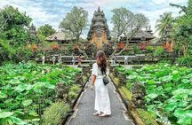 Balinese Local Experience Culture Tour (Private & All-Inclusive)
