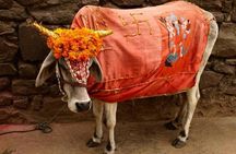 Private Full Day Tour of Haridwar and Rishikesh from Delhi