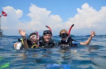 Learn to Dive | RAID Open Water 20 Diver Course | Kota Kinabalu