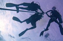 Leisure Diving | Fun Dives | 3 Dives in TARP, Kota Kinabalu