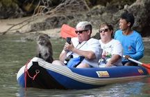 Secrets Of Phang Nga Bay Boat Tour From Phuket By Phuket Sail Tours
