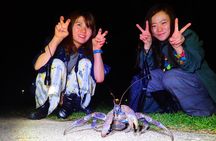 Okinawa Ishigaki Island Night Starry sky and Jungle night tour