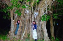Okinawa Ishigaki Island Night Starry sky and Jungle night tour