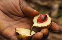 Spice Farm Tour -Half Day