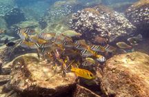 Discover Scuba Diving, try dive for beginners ( Start at Ko Kut)