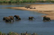 Fully inclusive Pilanesberg safari from Johannesburg