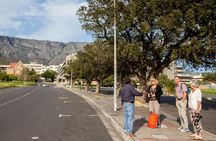 Half Day Camissa Township Tour
