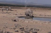 3 Days Masai Mara Experience