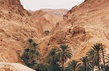 Tamerza Canyon Oasis Tour