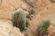 Tamerza Canyon Oasis Tour
