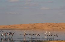  3 Days 2 Nights tour from Marrakech to Marrakech via Merzouga Sahara Desert