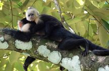 Carara National Park 