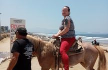 Las cañadas ecopark and horseback riding private tour