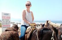 Las cañadas ecopark and horseback riding private tour
