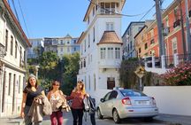 Private Full Day Tour to Concón Viña del Mar and Valparaiso + 1 Activity