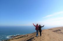 Private Tour: Valparaiso and Vina del Mar from Santiago