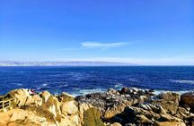 Private Tour: Valparaiso and Vina del Mar from Santiago