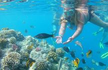  Discover Hamata & Qulaan Islands Snorkeling Sea Trip With Lunch - Marsa Alam