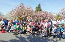 Swansea City Highlights Walking Tour
