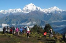 Ghorepani - Poon Hill Trek 3N-4D