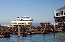 San Francisco Bay Cruise