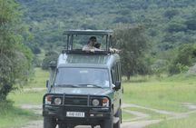 1 Day Akagera Wildlife Safaris Rwanda (2 Pax Min)