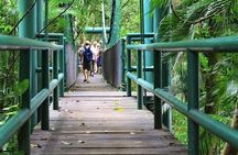 Villahermosa city tour with La Venta Museum and Yumká zoo