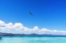Paradise Island & Mangroves Tour