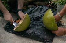 Craft Your Own wooden Bowl : in 1.5 hours from a calabash fruit!