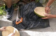Craft Your Own wooden Bowl : in 1.5 hours from a calabash fruit!