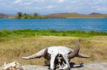 Arusha National Park Day Trip
