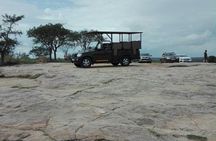 Kruger National Park Half Day Game Drive