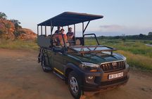 Kruger National Park One Day Safari from Johannesburg