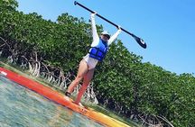 Mangroves Stand-Up Paddleboard Tour