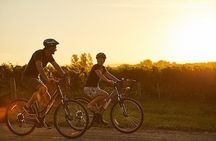 Morning Guided with Afternoon Self-Guided Biking Wine Tour