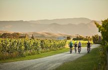 Morning Guided with Afternoon Self-Guided Biking Wine Tour