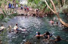 Chemka Hot Spring & Materuni Waterfalls with Sundowner Experience